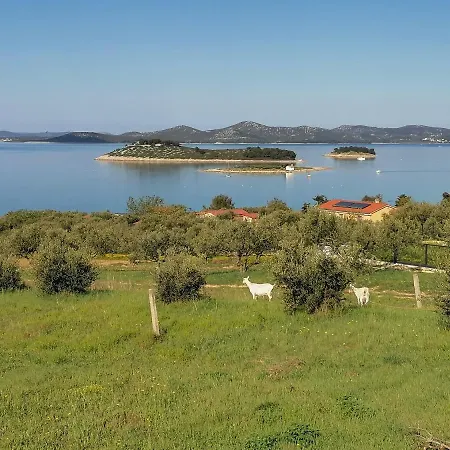 Apartment Punta